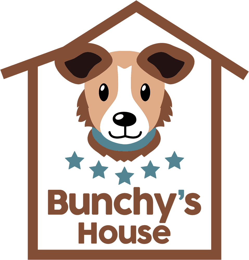 bunchys house doghouse pension chien adoption dog education advice conseils adoption alpes mayens-de-chamoson valais suisse